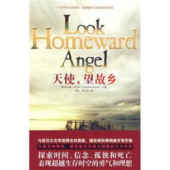 【正版书】 天使，望故乡 [美] 沃尔夫 著,雨凡,陈玉洪 译 江苏人民出版社