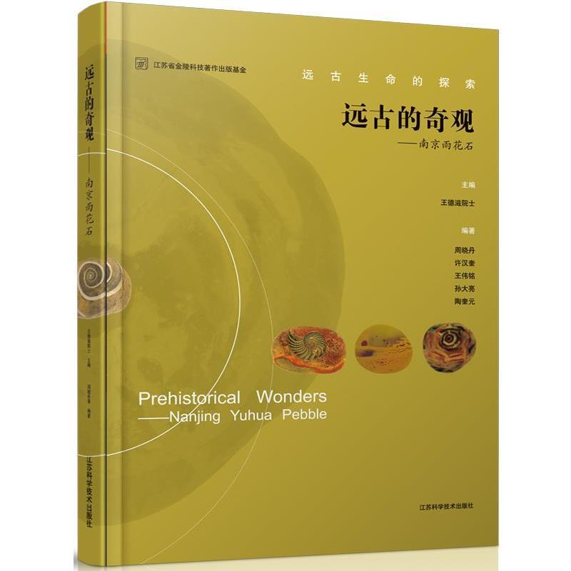【正版书】 远古生命的探索·远古的奇观:南京雨花石 周晓丹,许汉奎,王伟铭 等 著,王德滋 编 江苏科学技术出版社
