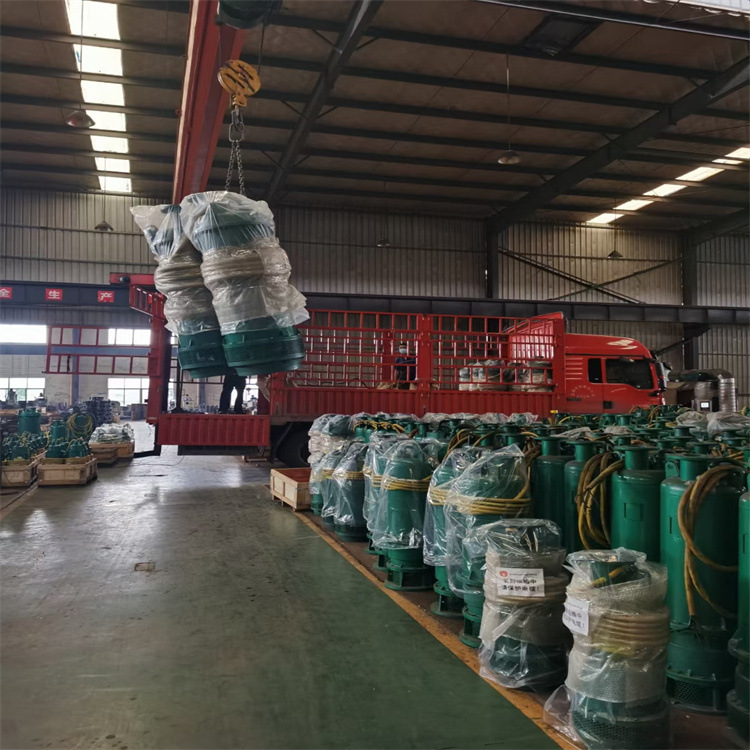 BQS50-150/2-45/N潜水泵 机电一体 下吸水 矿用排沙排污潜水泵