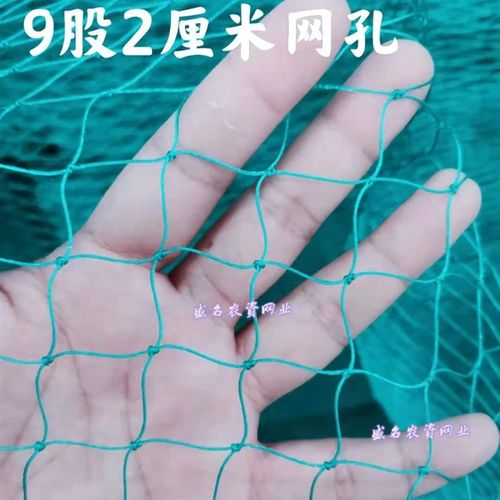 防鸟网枸杞樱桃网葡萄果树果园防鸟天网泥鳅鱼塘防护尼龙网栅栏