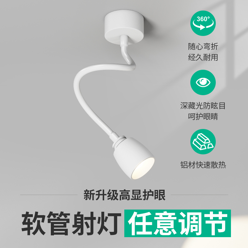 万向软管射灯吸顶式玄关照壁画装饰画店铺背景墙加长杆聚光灯明装