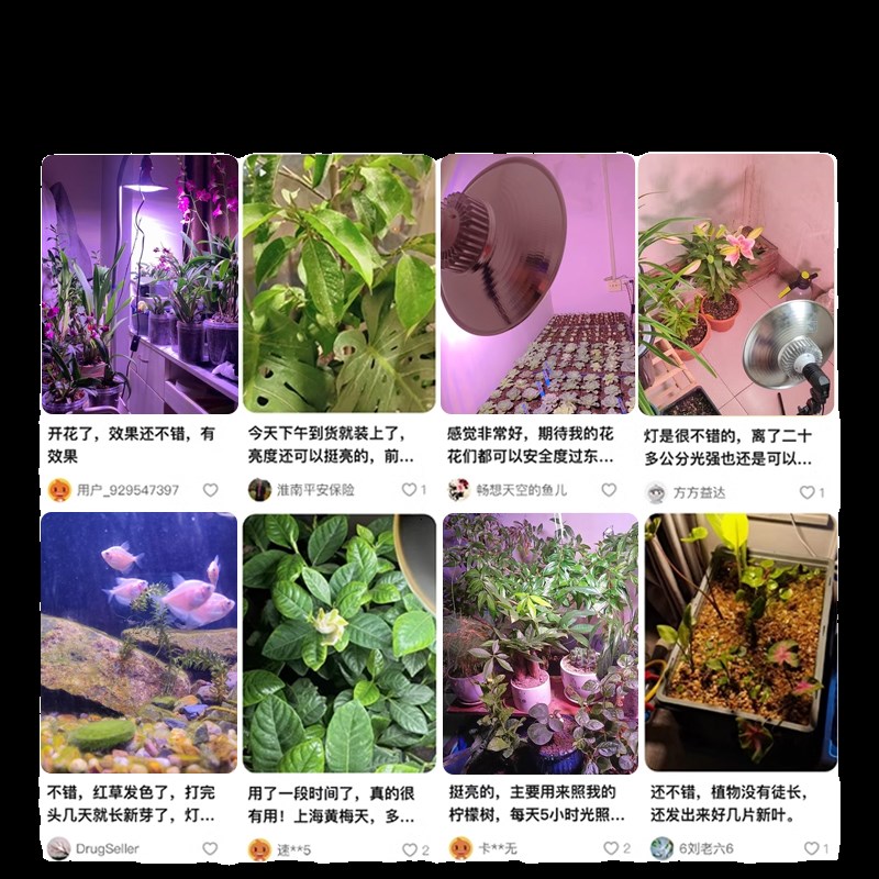 植物补光灯全光谱仿太阳蔬菜草莓室内大棚兰花绿植花卉多肉水草灯