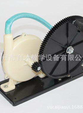 31004离心水o泵模型齿轮式物理实验器材教学仪器