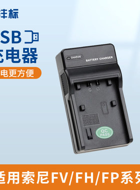 沣标充电器适用索尼FV50 FV70 FV90 FV100相机电池FH50 FH70 FH100 FP50 FP70 FP90摄像机AX45 VG30 CX680