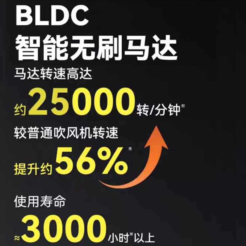 火之凤6600X /电吹风筒发廊专用大功率无刷电机吹风机发型师家用