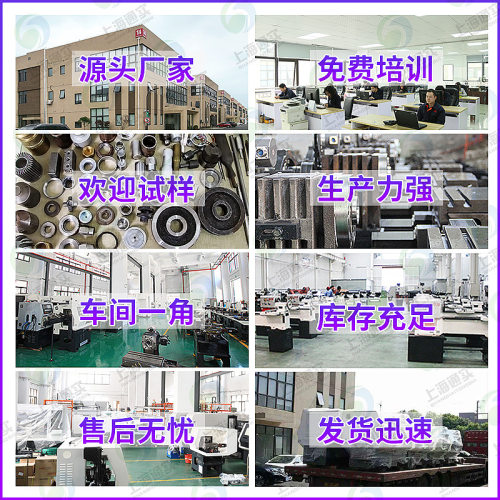 上海通实非标定治机两轴全自动铣扁机铣槽机全自动数控铣槽机