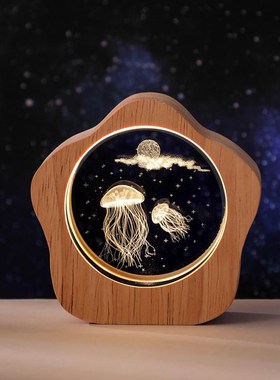 新款创意水晶小夜灯装饰品桌面摆件生H日礼物送女生男友氛围灯高