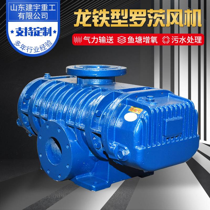 罗茨风机气力输送鱼塘增氧污水处理增氧龙铁型罗茨风机鼓风机