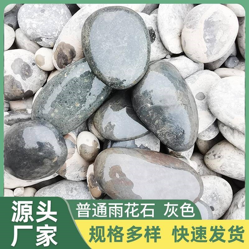 源厂灰色抛光鹅卵石园林小w区铺路雨花石园艺鱼缸装饰造景石头