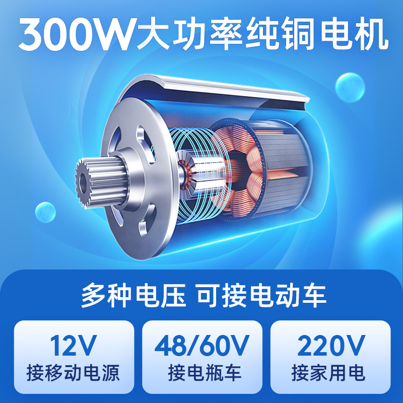 浇菜神器农用灌溉抽水机12V48V2D20V大功率家用浇花浇水机抽水泵