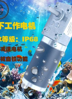 ZFY5840-42防水等级uIP68减速电机金属齿轮蜗轮蜗杆防尘潜水电机