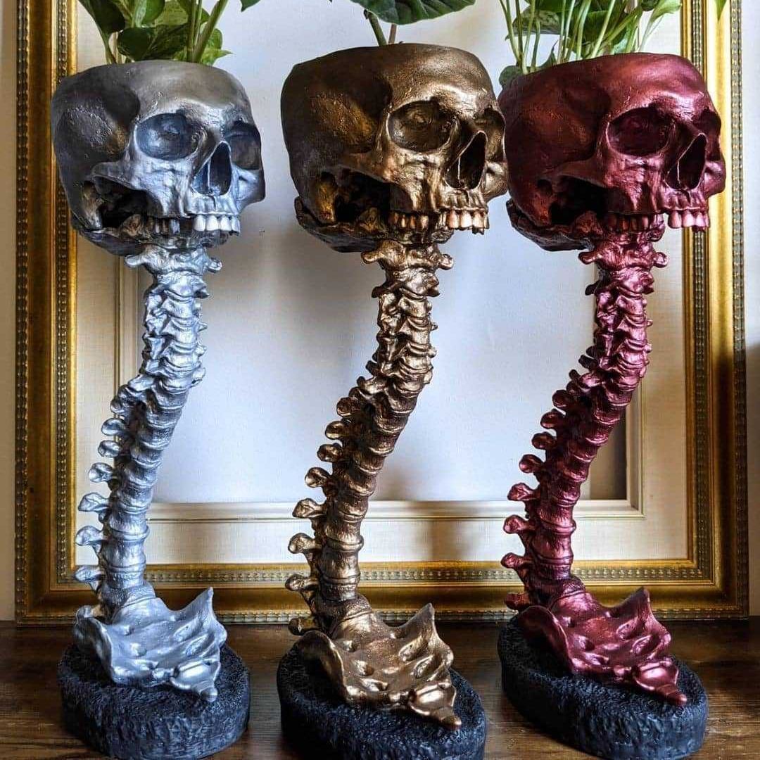 亚马逊 爆款 Skull Planter & Spine Stand Sets 骷髅花盆和脊椎