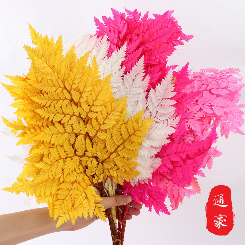 永生高山羊齿厂家供应撅叶类保鲜花材 花材摆拍装饰石松龙须草