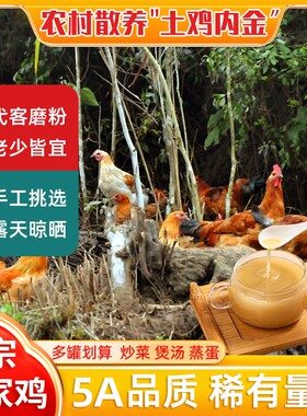 农村散养高品质鸡内金粉老少皆宜 粉质细腻易吸收 250克/罐