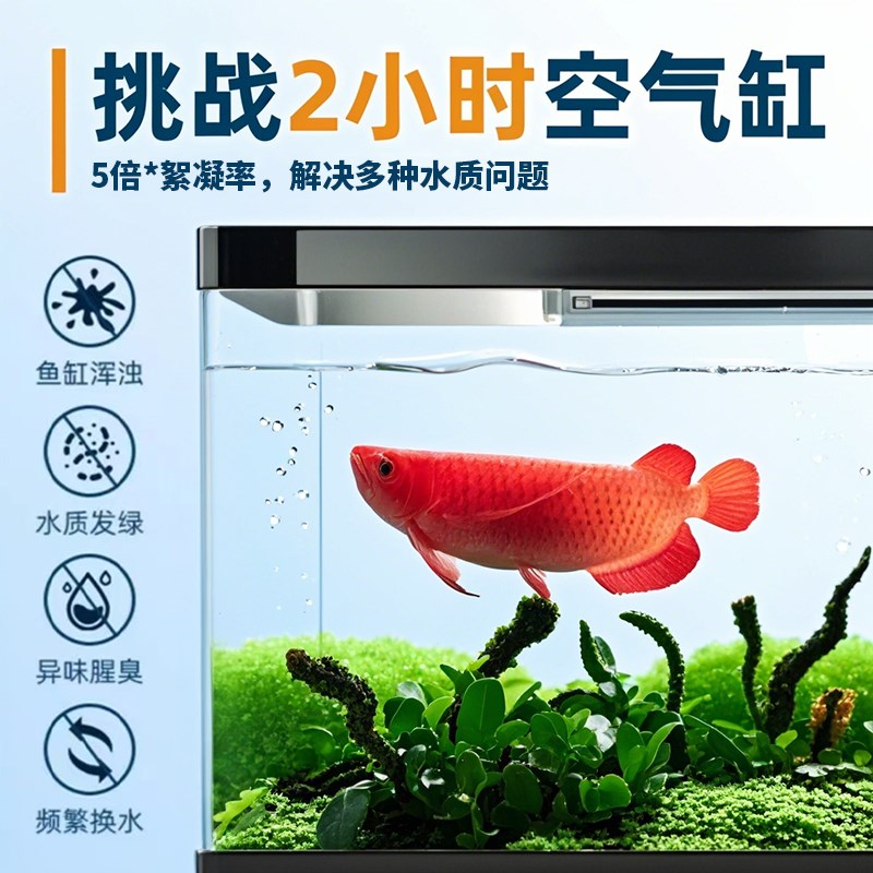 除藻剂鱼缸除藻去苔剂鱼缸u专用去绿水绿藻青苔清除剂丝藻克星神