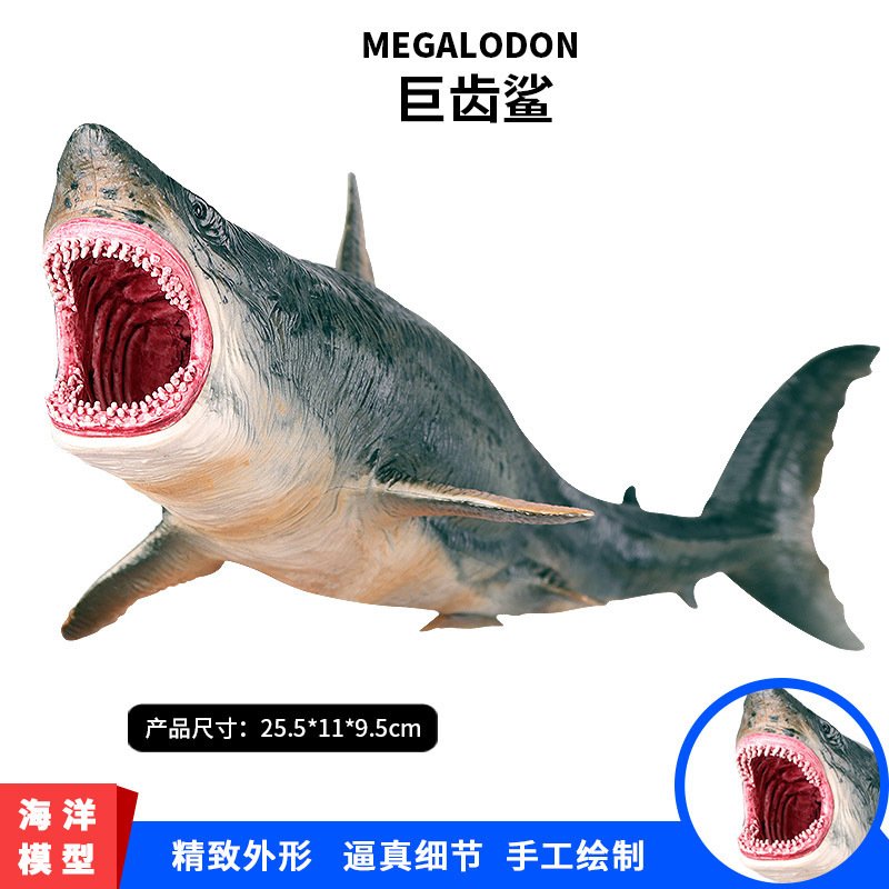 仿真海洋生物动物模型巨齿鲨食人鲨鲨鱼大白鲨虎鲨 仿真模型空心