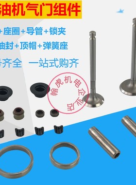 风冷柴油机 微耕机 配件173F 178 186FA 188 192气门组件导管座圈