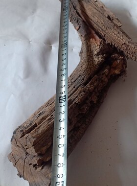 雷晶子龙鳞纹枣木雷击沉水料。长495毫米直径50-80毫米,摆件。