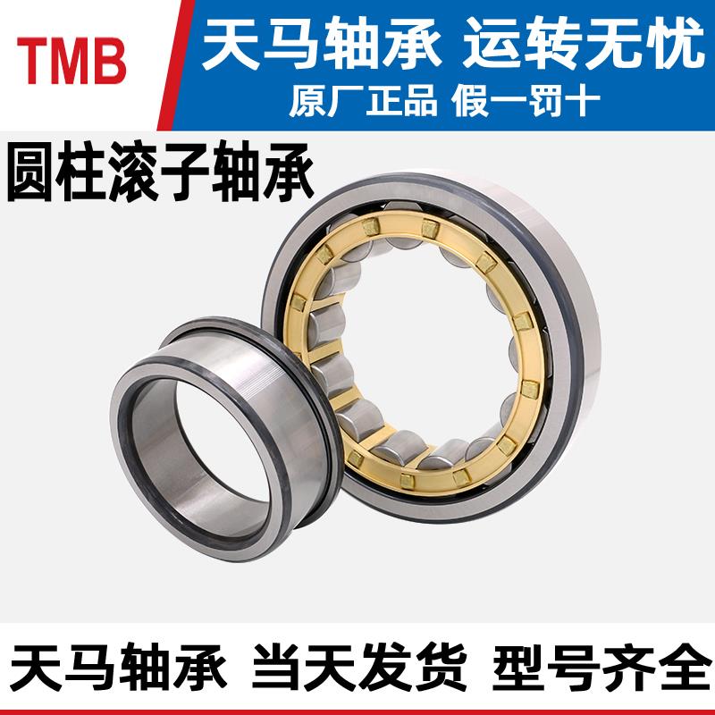TMB天马圆柱滚子轴承NJ203 204 205 206 207 208 209 210 211EM E