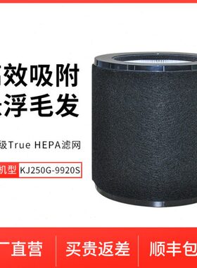 安德迈9920s空气净化器滤芯过滤器 通用型号9920