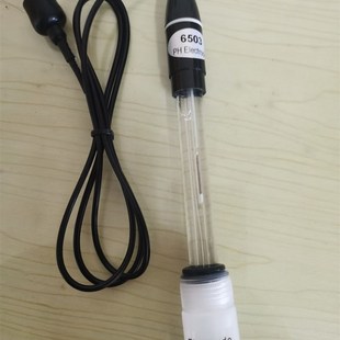 酸度计电极 6503PH玻璃复合电极 强酸强碱 高温 防腐蚀