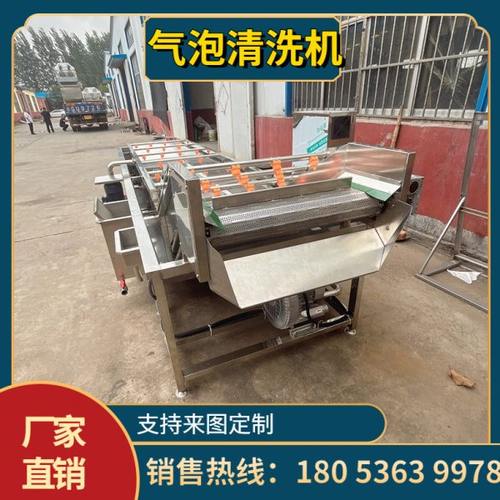 空心菜气泡清洗机 全自动笋丝气泡清洗设备 豆荚气泡清洗流水线