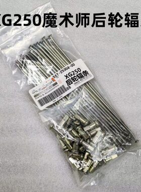 XG250魔术师前后轮辐条