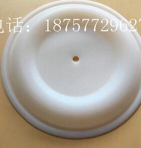 VERDER弗尔德隔膜泵膜片188605进口特氟龙膜片1寸VA25外径170