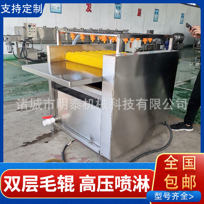 菠萝叶清洗机 全自动隧道式槲树叶清洗设备 双层毛刷粽叶清洗机