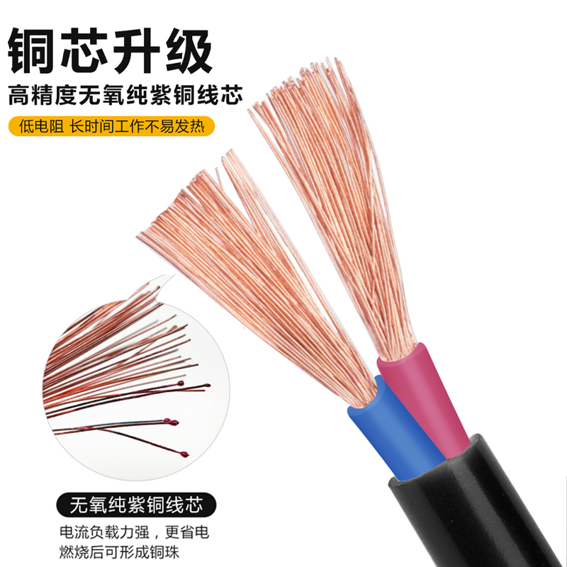 纯铜电线家用户外防冻电缆线2芯软线1.5/2.5/4平方护Y套线插头带