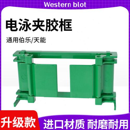 国产wb制胶架夹胶框western blot电泳制胶框制胶支架通用伯乐天能