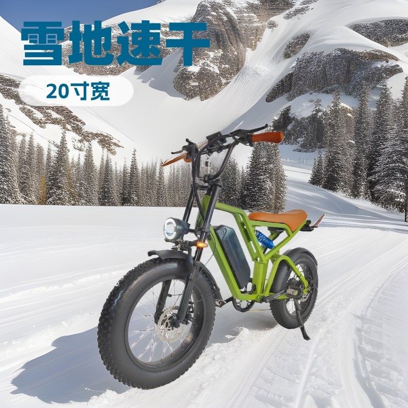 雪地电动自行车出口欧洲雪地助力电动车20寸宽胎电动自行车