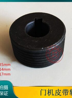 门机皮带轮TN-YTTD250/250B电机专用门机轮皮带轮电梯配件