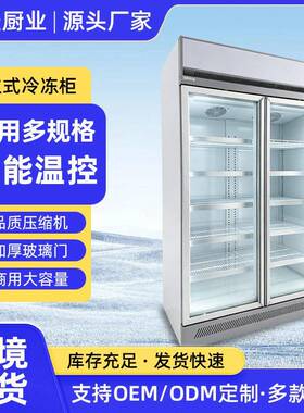 冷冻展示柜双三四开门展示柜商用冰柜冰箱超市肉类立式保鲜柜