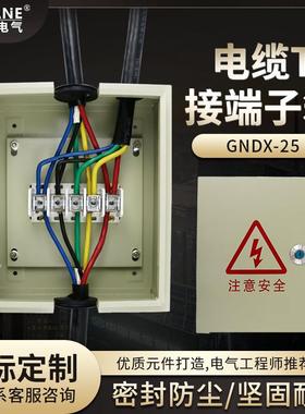 T接端子箱JXT电缆T接端子箱电缆分线线箱JXT-/铜排接线线箱