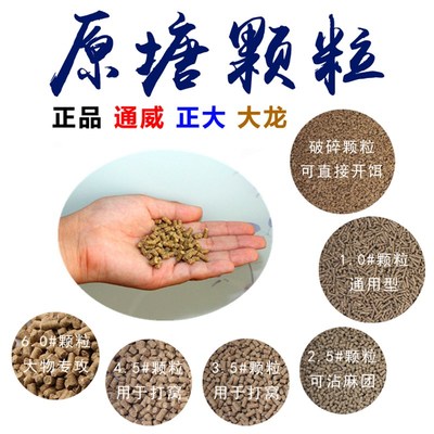 通威正大原塘小黄面颗粒钓鱼打窝散炮沾麻团饵料鲫鲤草青黑坑池塘