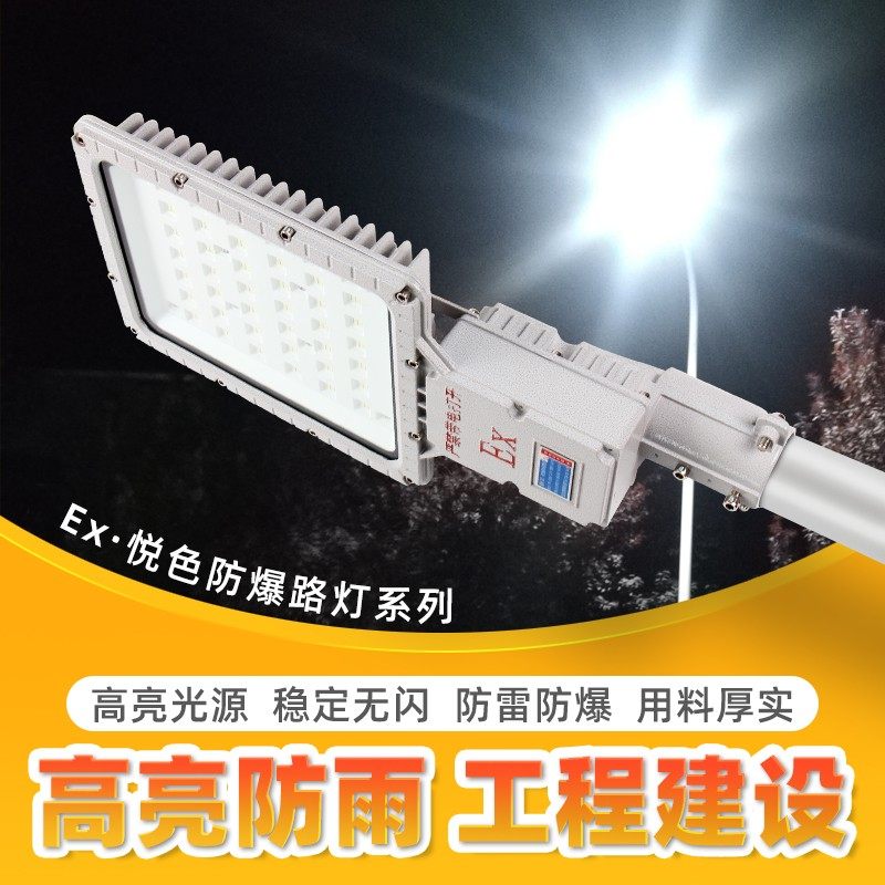 LED防爆路灯加油站加气站化工厂高杆6米防爆投光灯应急灯罩棚灯