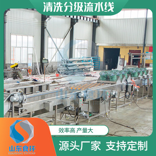 红薯土豆地瓜清洗烘干打蜡分级流水线橙子龙眼大枣清洗分级流水线
