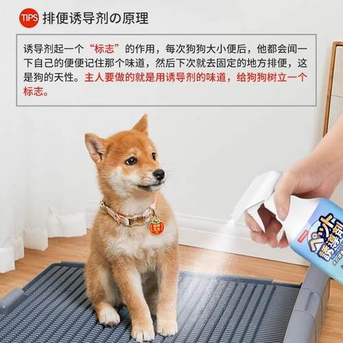 速发狗狗厕所诱导剂狗大小便引导宠物定点排便神器幼犬拉屎训练防