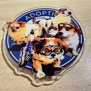 领养小铺原创闪电小组冰箱贴