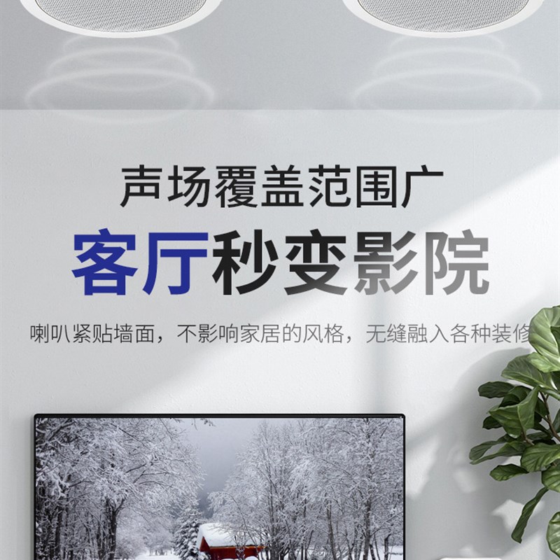 智能家居家庭背景音乐主机系统套装蓝牙音响吊顶喇叭语音控制器