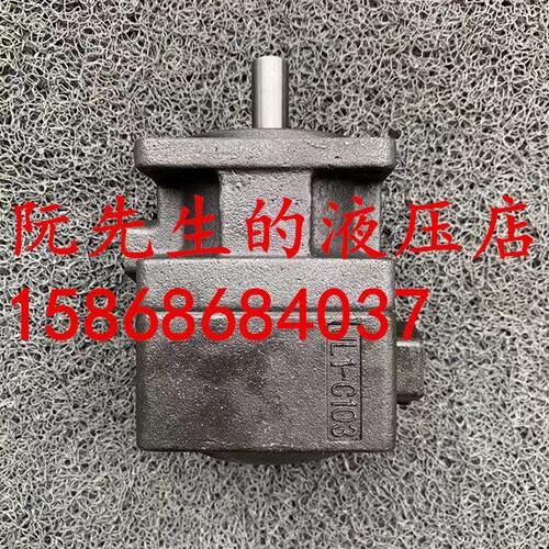 JULI浙江省仙居县巨力机械厂折弯机叶片泵YB1-21 公称排量21ml/r