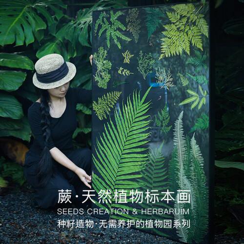 种籽造物超大幅黑底蕨植物标本画北欧挂画手工押花画高级感装饰画