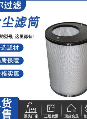 替AERZEN艾珍罗茨风机空气过滤器滤芯176206000空压机偏心滤芯