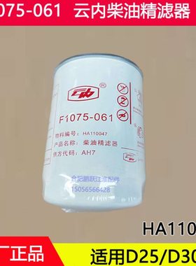 F1075-061精滤 云内柴油精滤器柴油滤HA110047柴油滤清器滤芯原厂