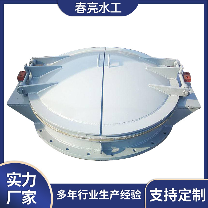 钢制拍门加厚双开门结构稳定污水处理防倒灌侧翻式法兰闸阀闸门