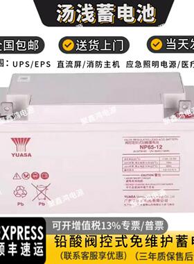 YUASA汤浅蓄电池NP65-12免维护12V100AH65AH38A24A18A7A直流屏UPS