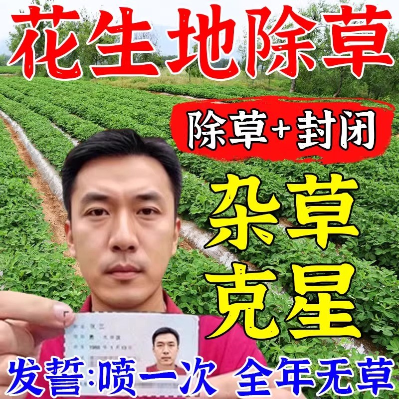 花生苗后除草专用剂强力除草烂根剂禾阔双除安全S不伤苗杂草一扫