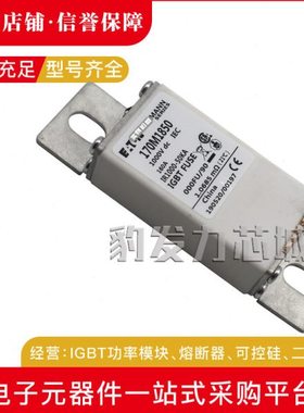 170M2608 170M2609 170M2610 170M2611 170M2612 170M2613熔断器