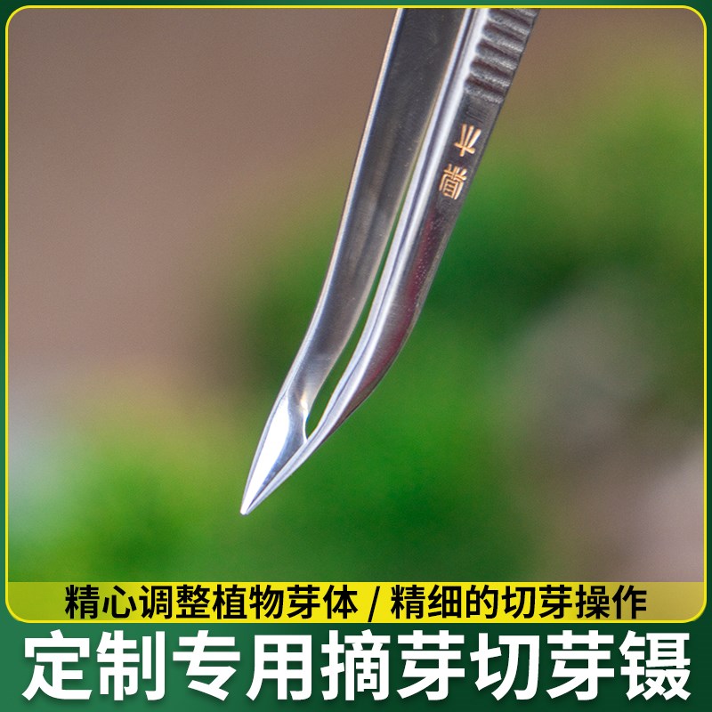 切芽剪摘芽菖蒲剪加长造型工具盆景鼎木插花镊芽叶芽剪园艺盆栽剪